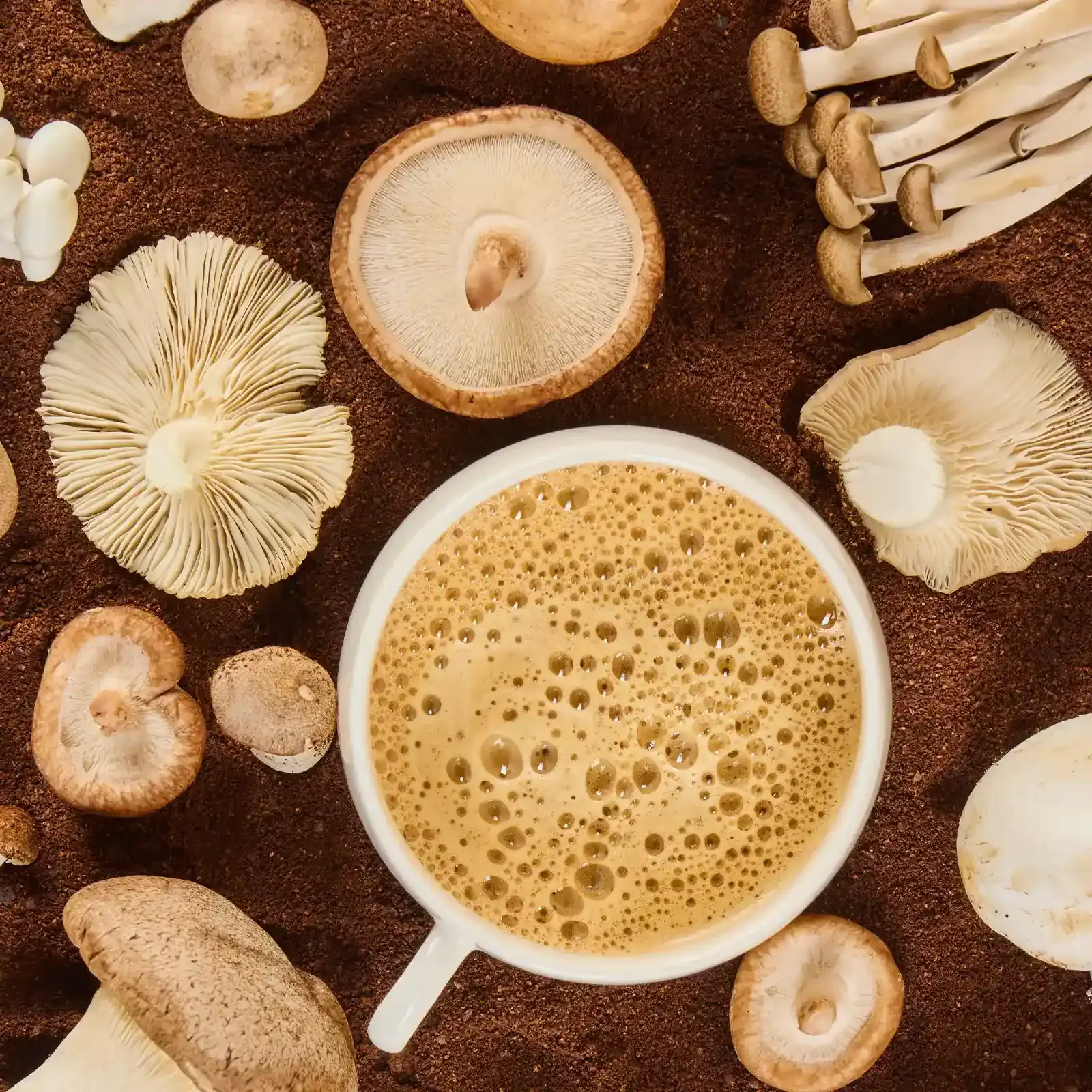Delish Mushroom Coffee — imagem 5