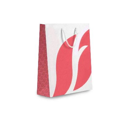 image of CARTON BAG BIG 2020 CORAL 19x26x8 CM